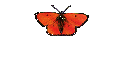 __Ruka